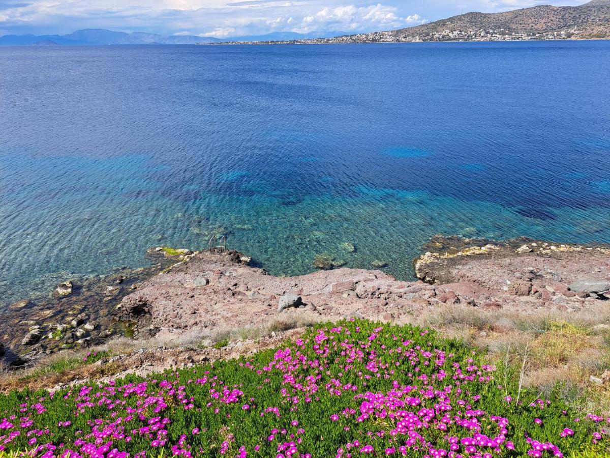 Almyra Seaside Villa Пердика Екстериор снимка